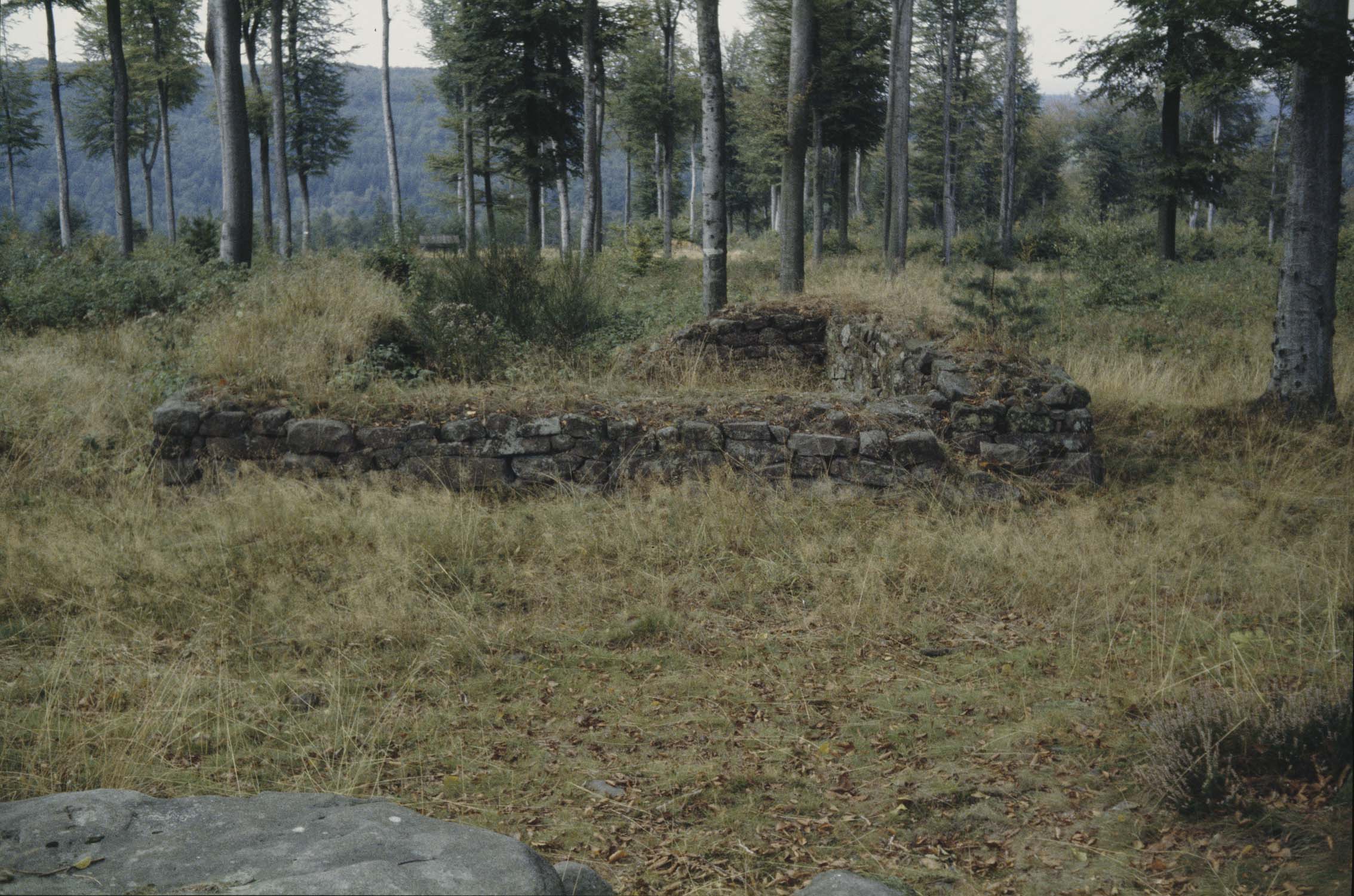 Vestiges du village de Wasserwald