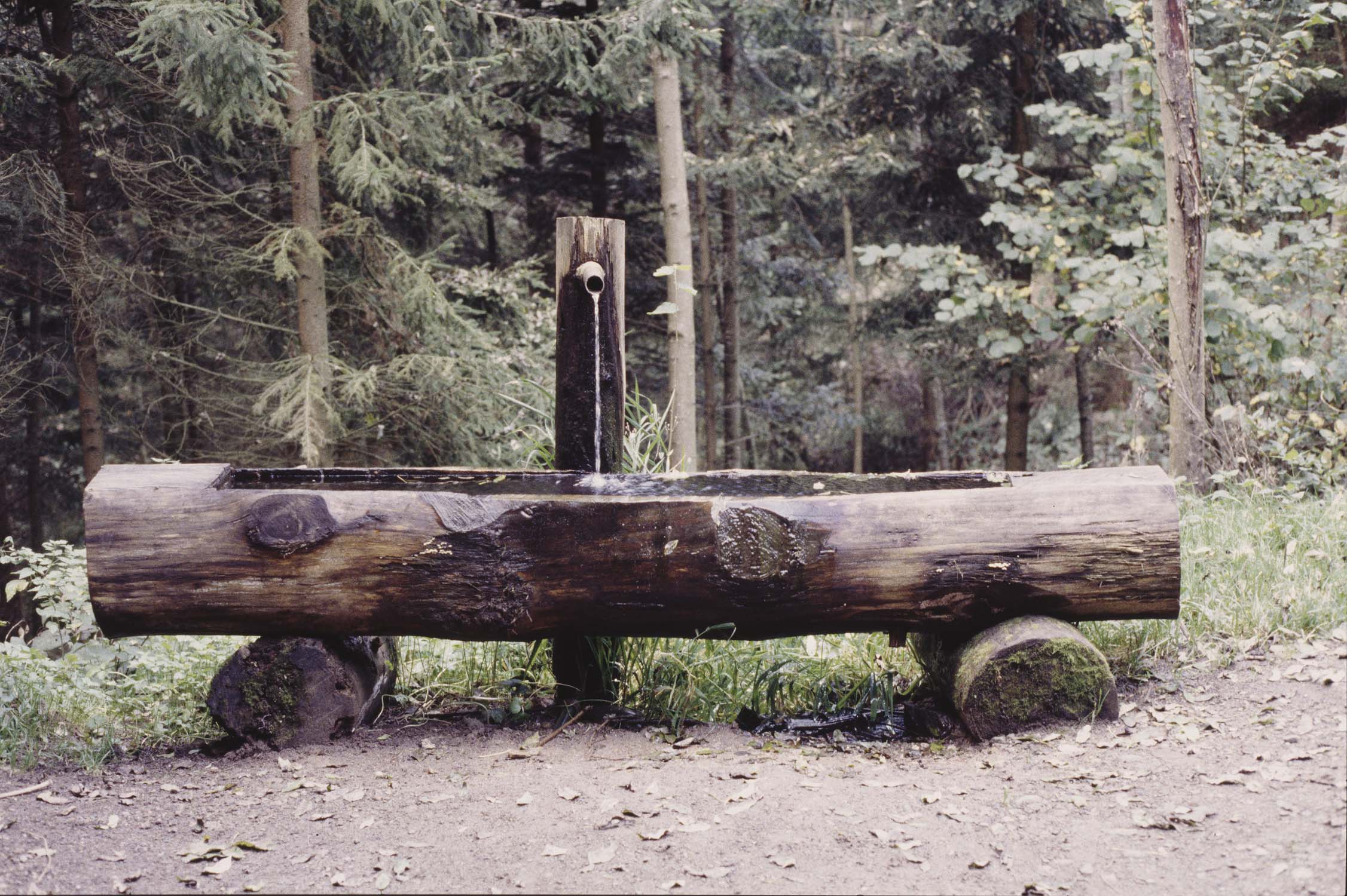 Fontaine pratiquée dans un tronc d'arbre au Silberthal