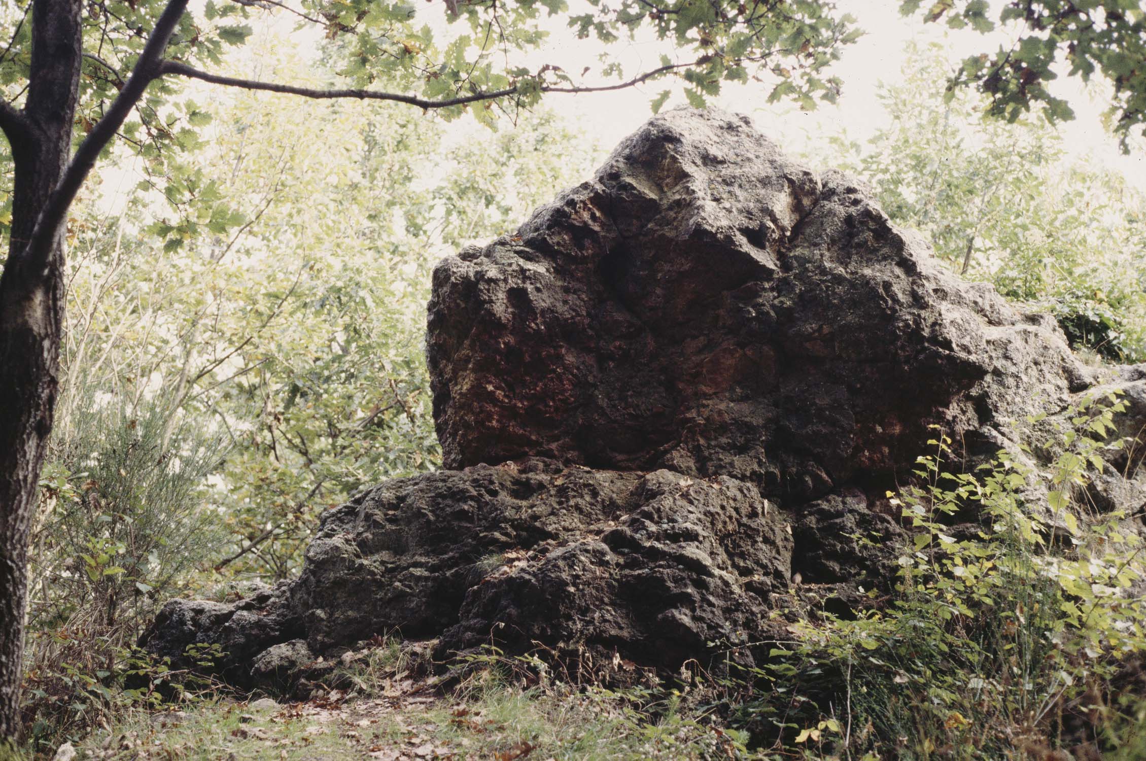 Le rocher du Scheltzenburg