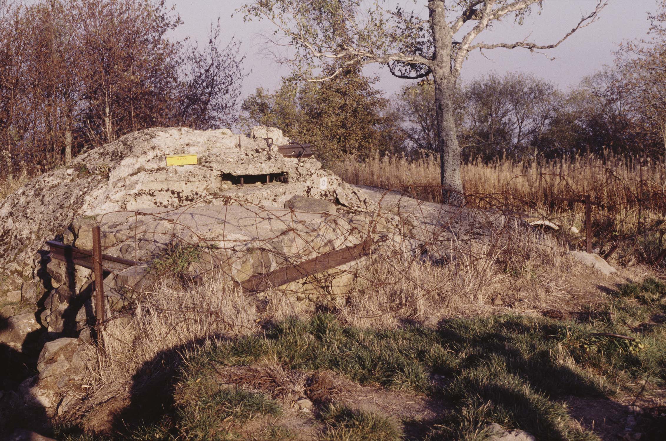 Vestiges du fort Dora