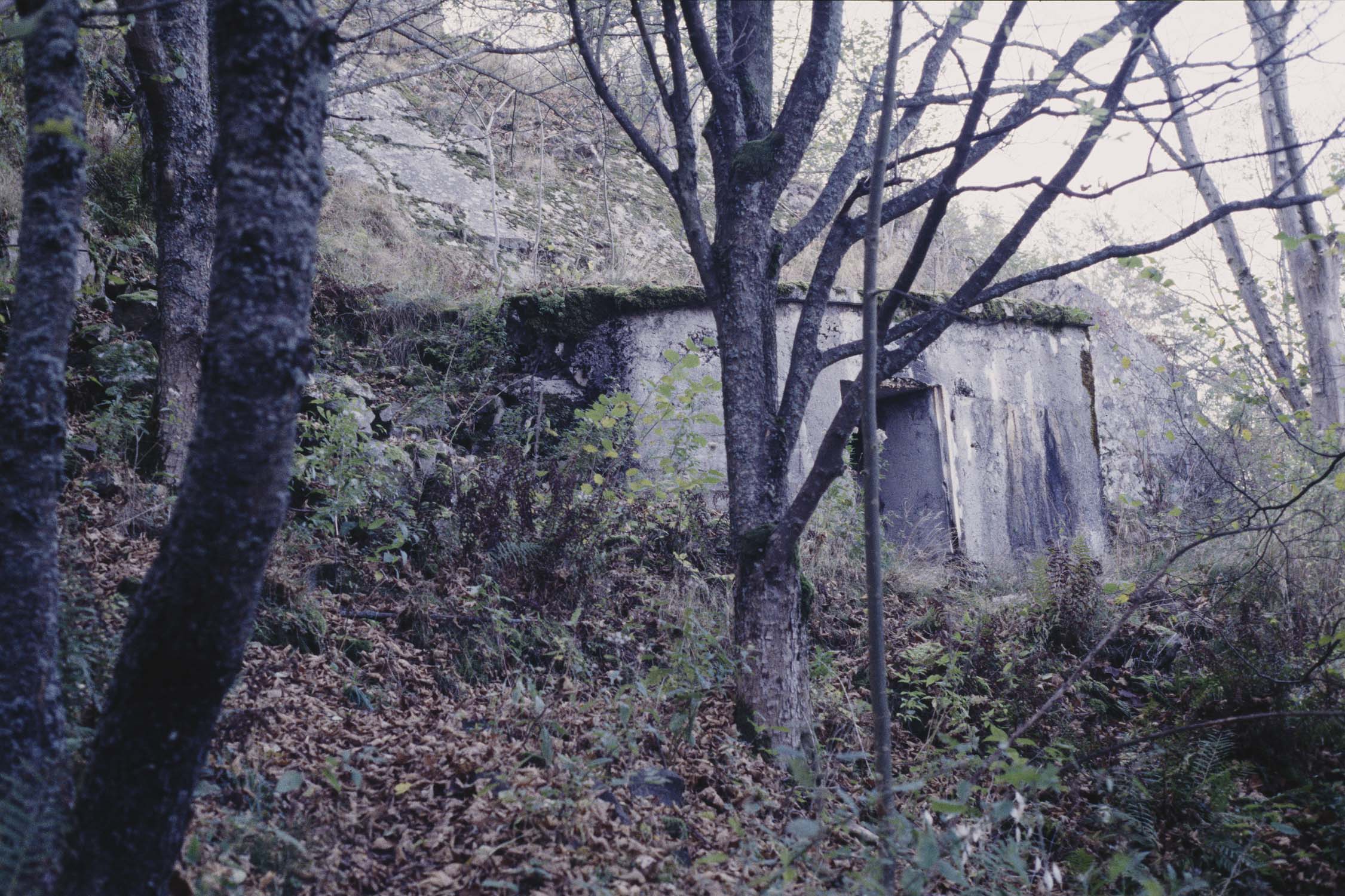 Vestiges du fort Bamberg