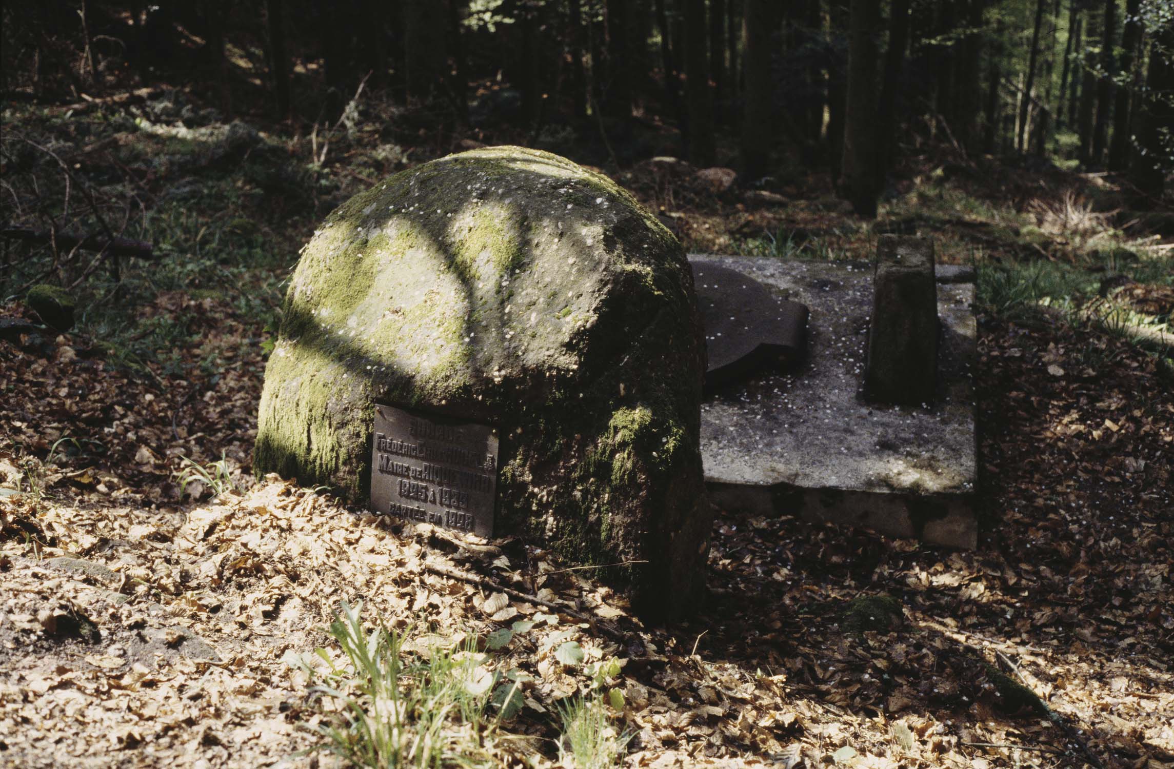 Source Frédéric Hugel