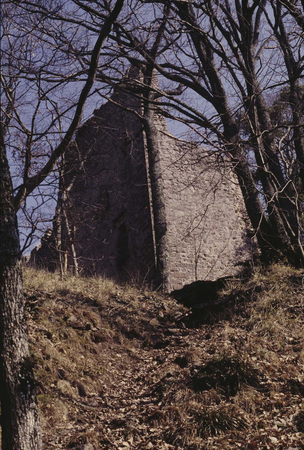 Ruines du château de Reichenstein