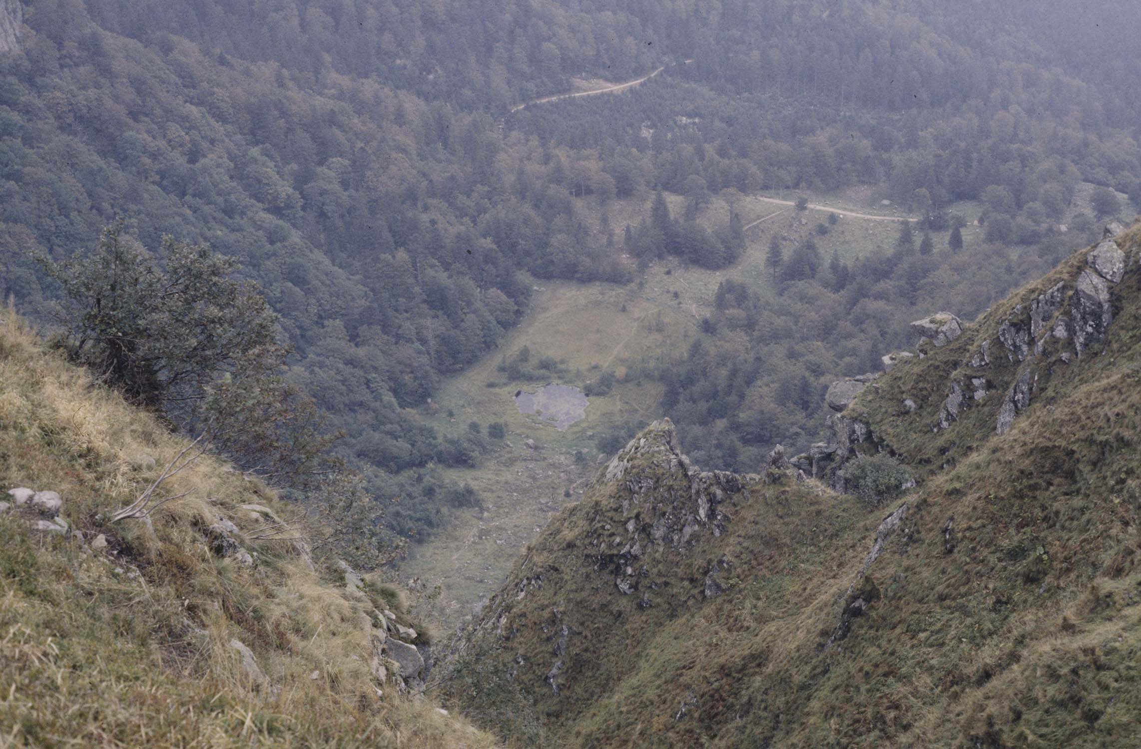 Le Frankental, vue en plongée