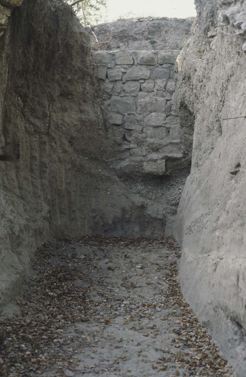 Vestiges du château de Butenheim