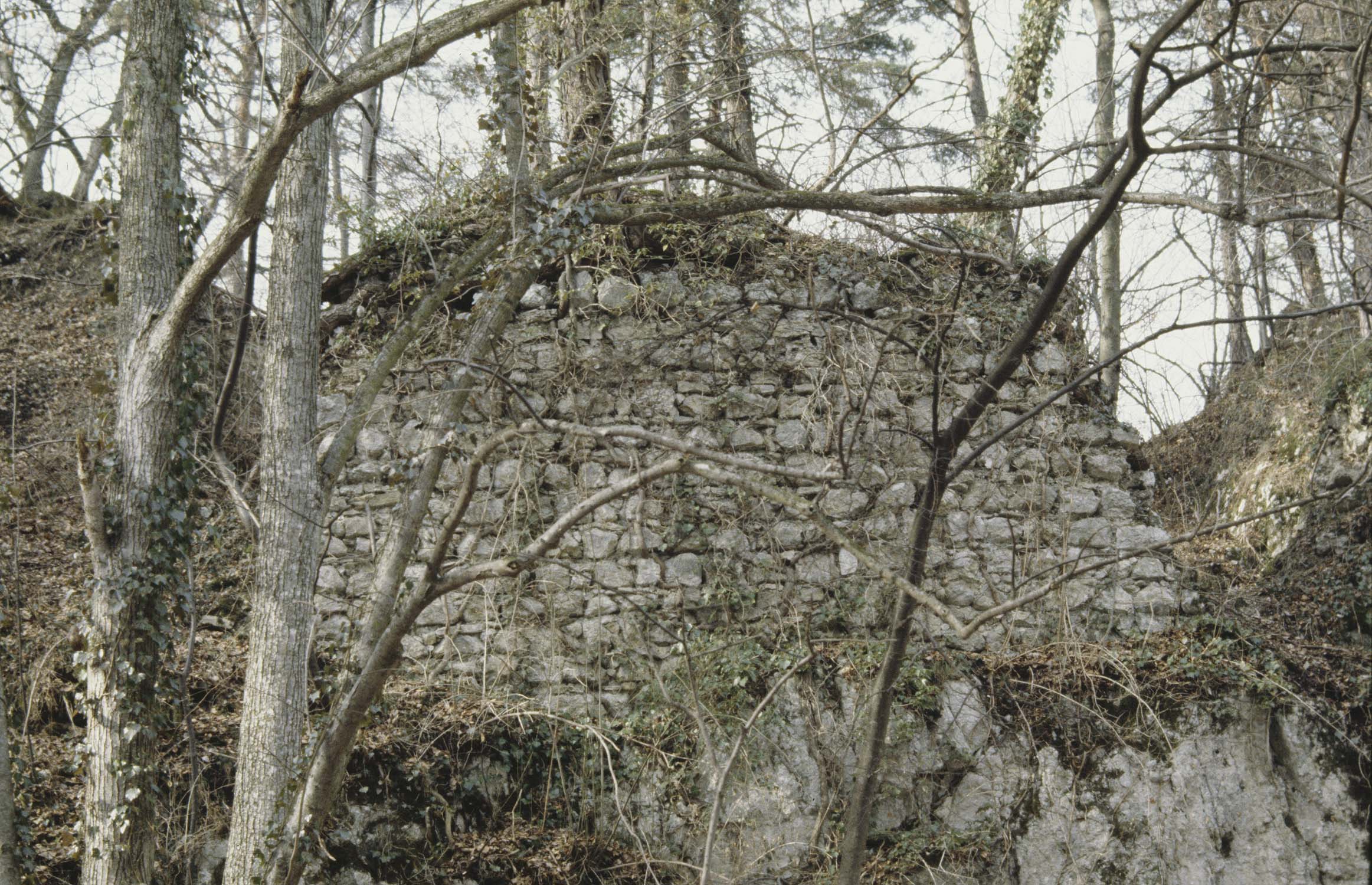 Vestiges du rempart sud