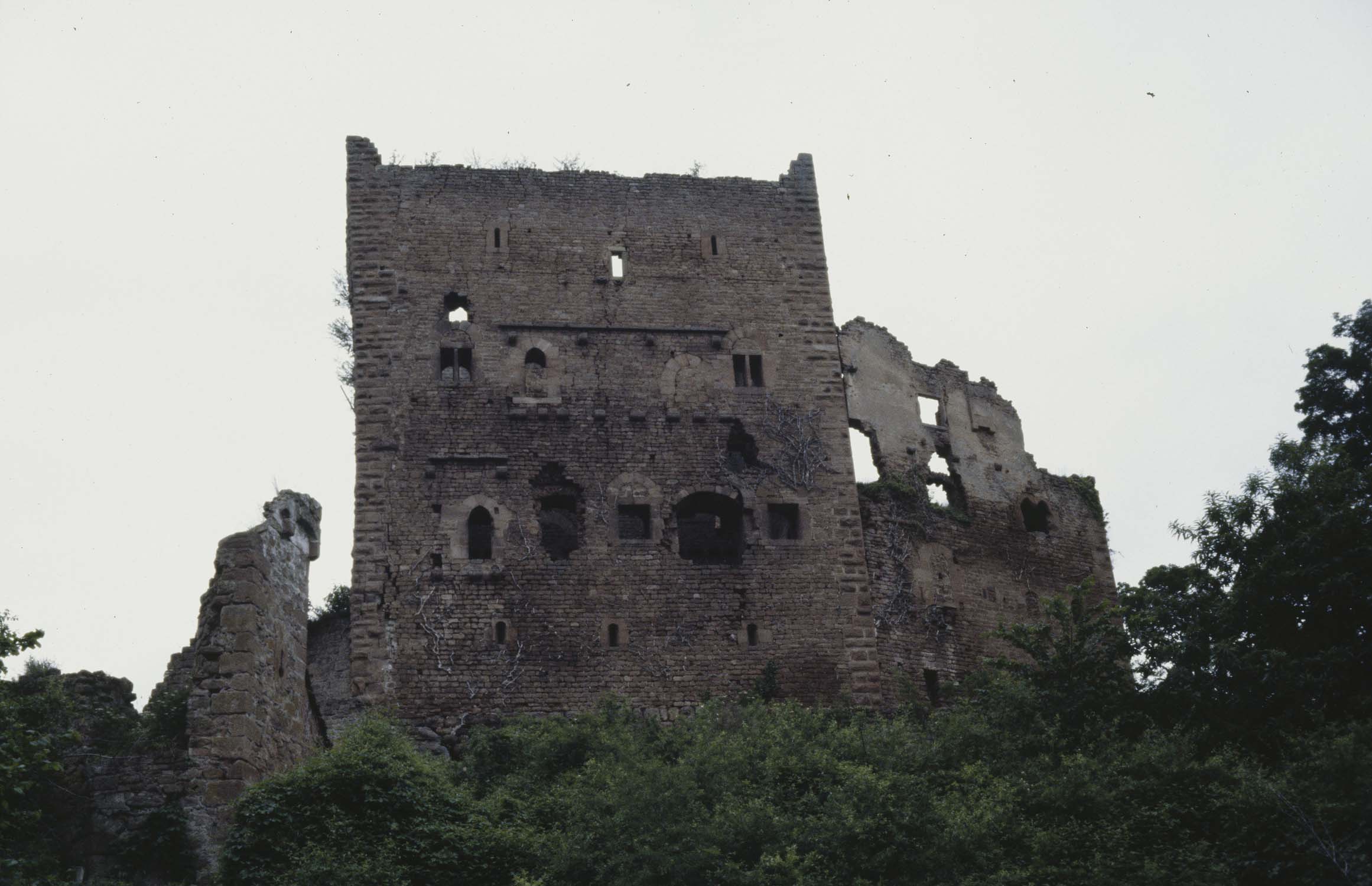 Vestiges du château, vue générale