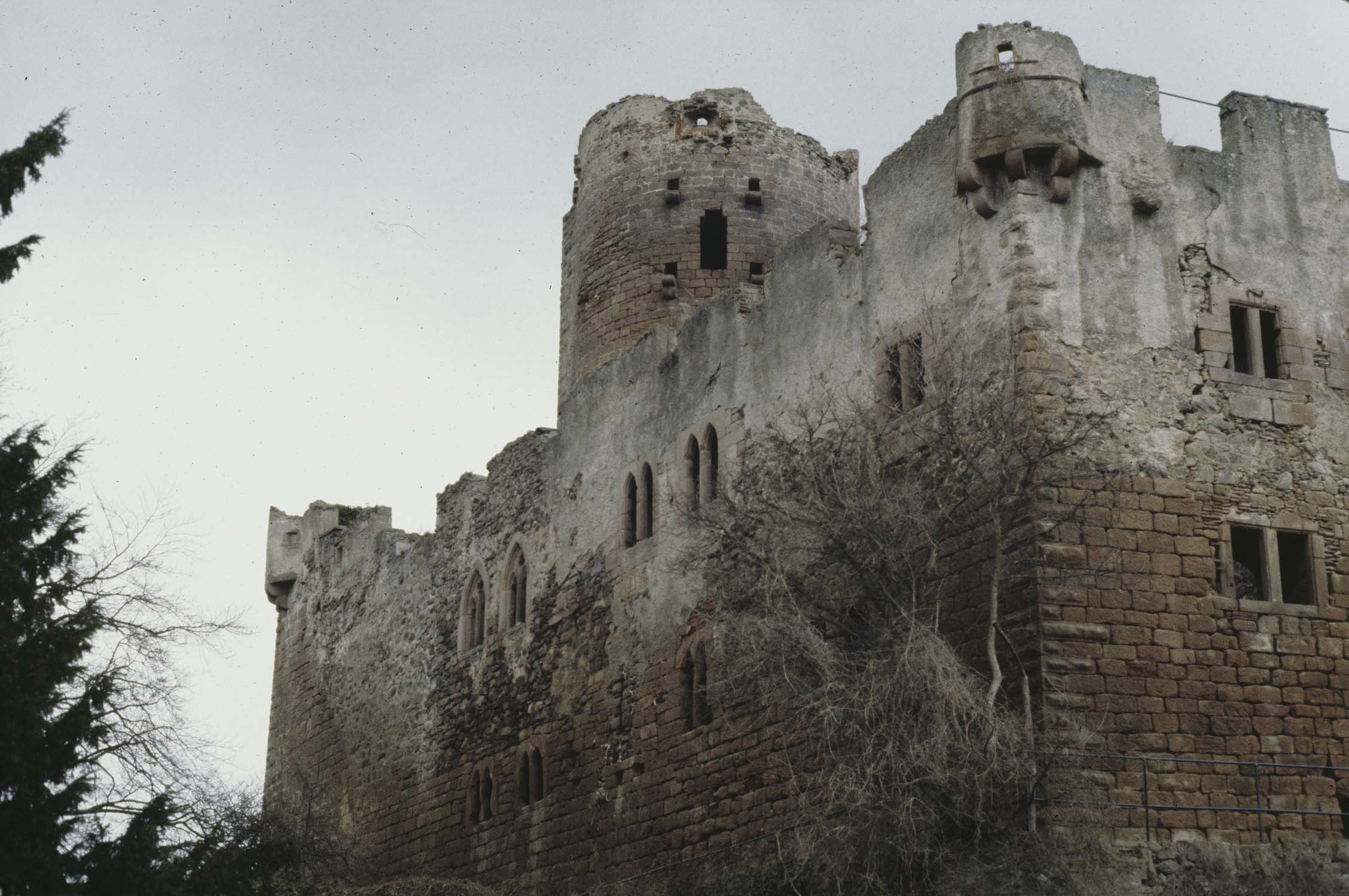 Vestiges du château, vue générale