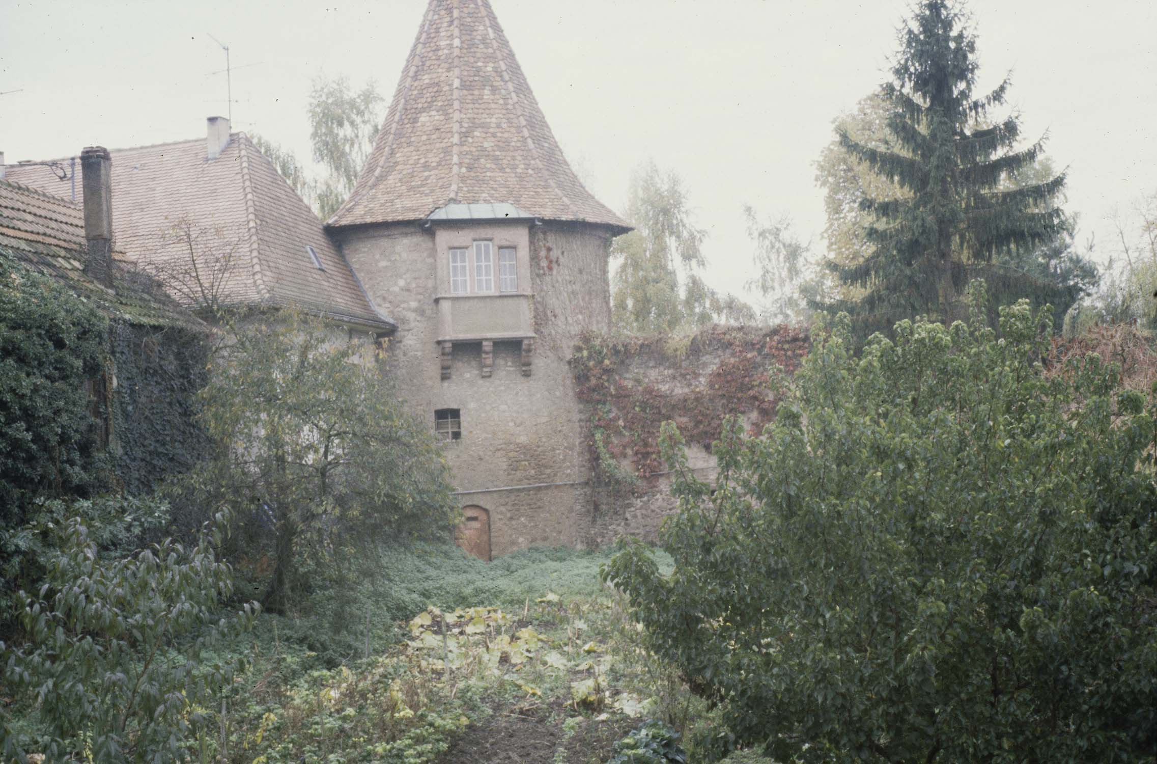 Vestiges du château : 1ère tour, vue générale