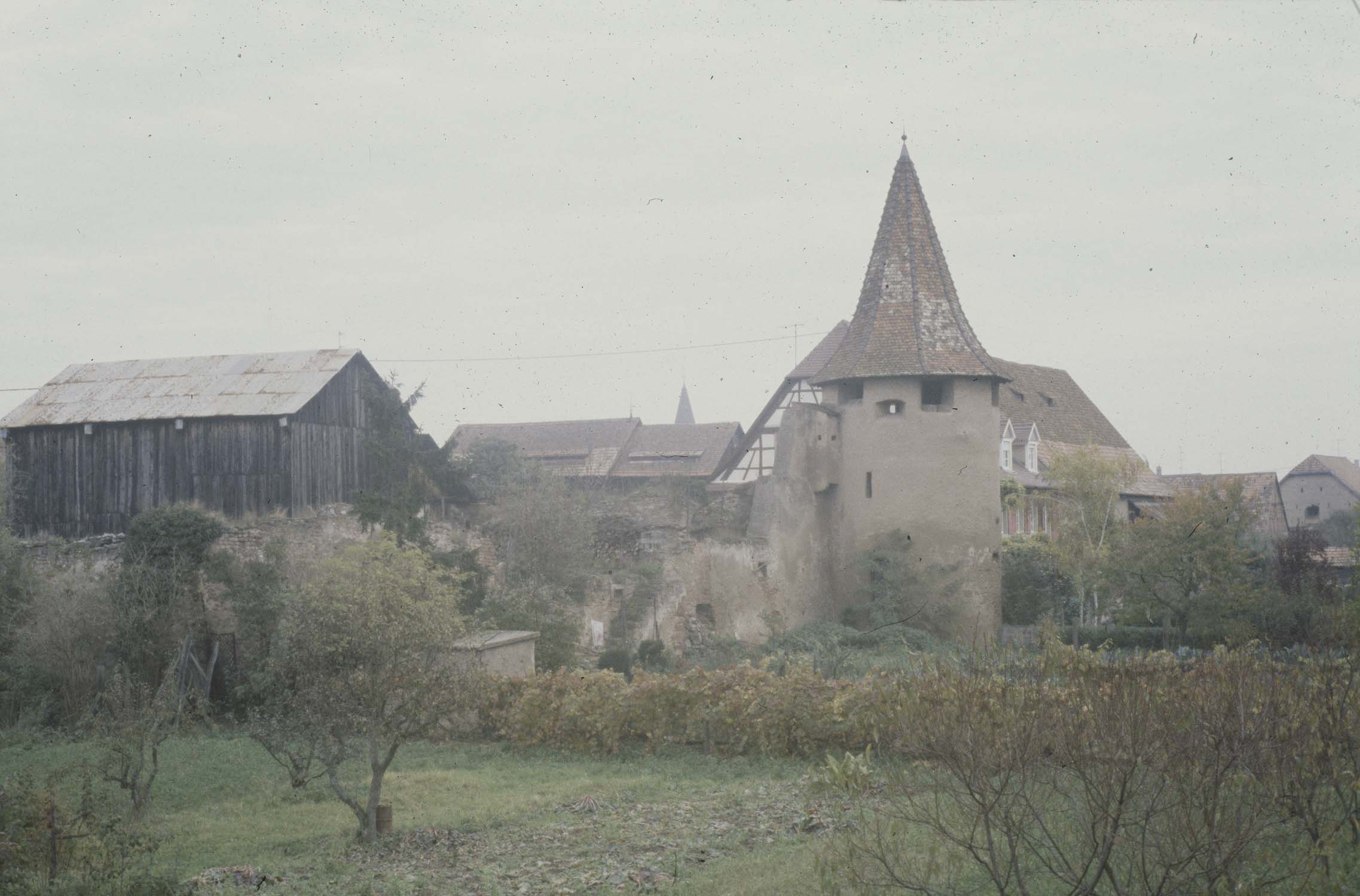 Vestiges du château : 2e tour, vue d'ensemble à distance