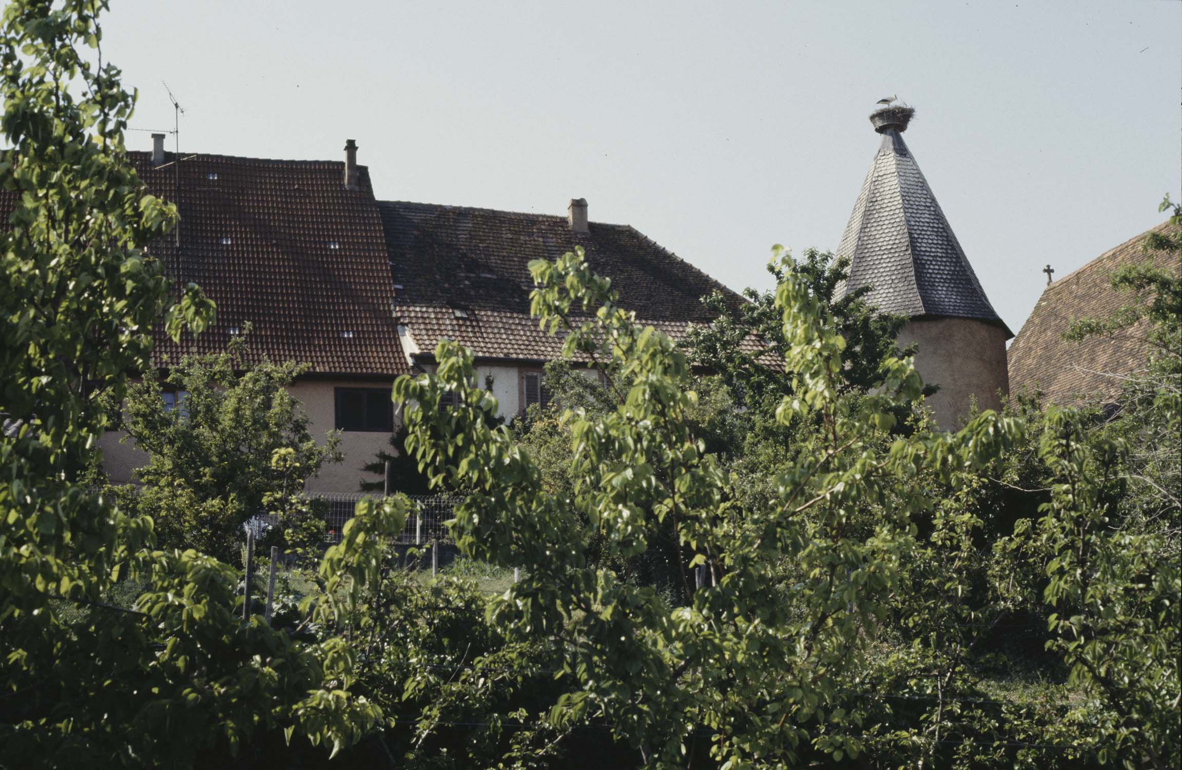 Tour d'angle nord, vue d'ensemble derrière les arbres