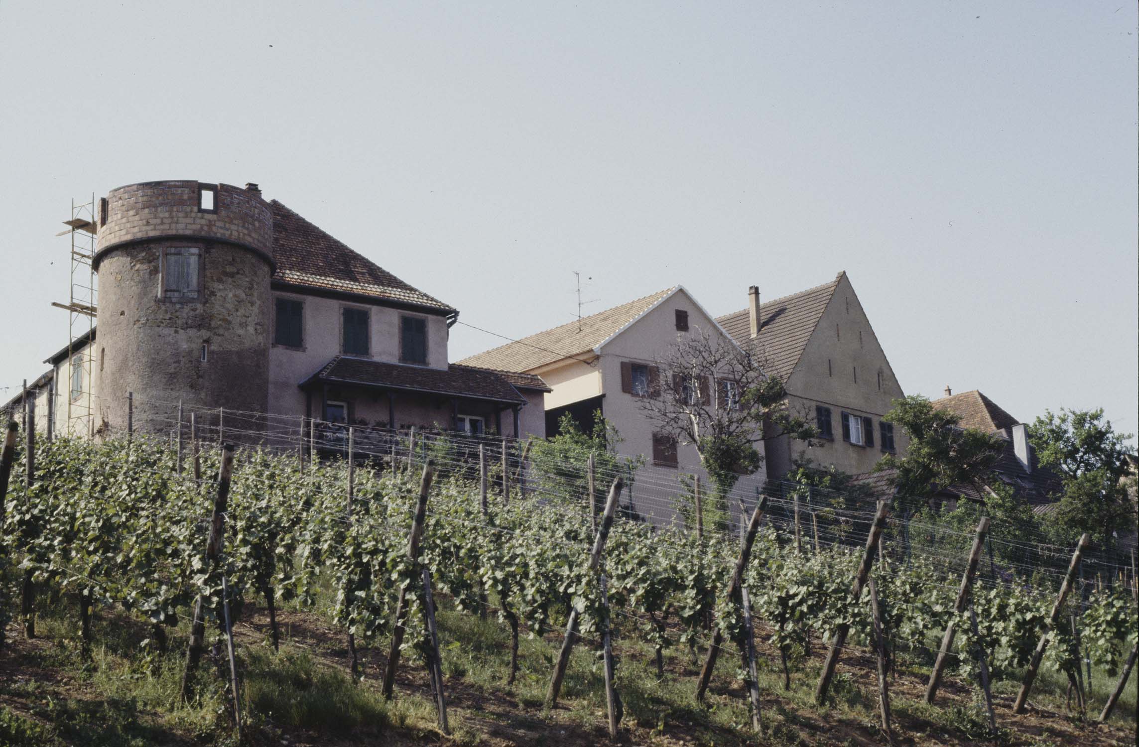 Tour d'angle sud, vue à distance depuis les cépages