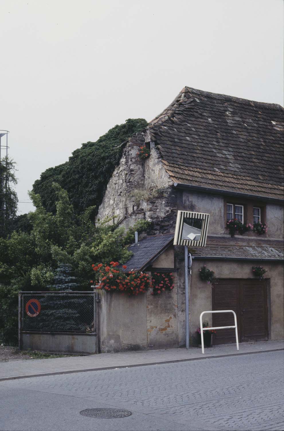 Vestige du rempart nord, vue d'ensemble