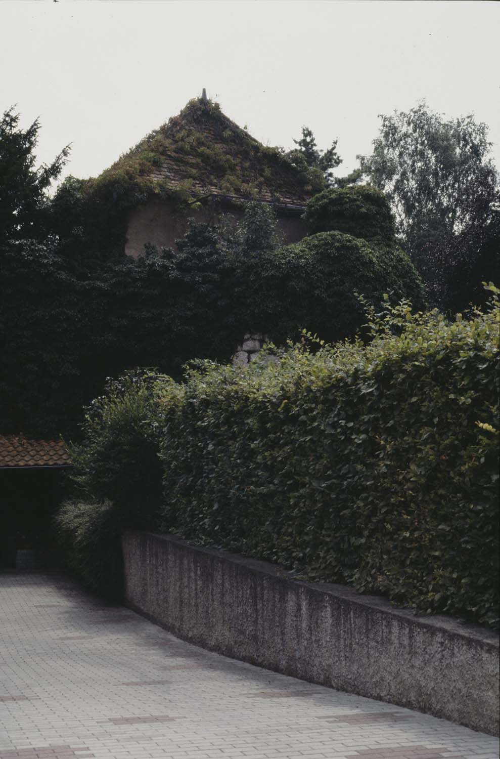 Vestige de tour du rempart ouest, vue générale