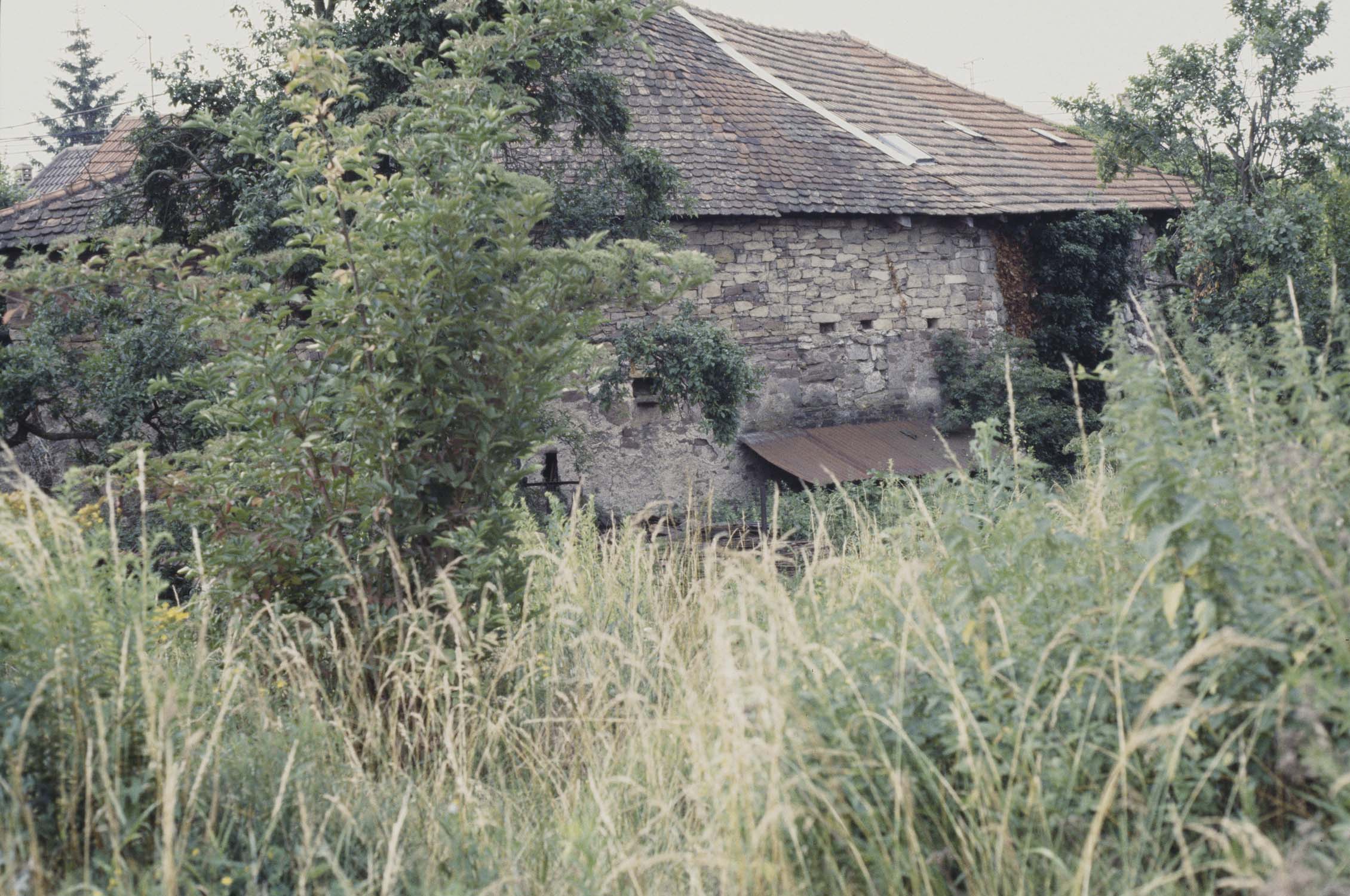 Vestiges du rempart ouest