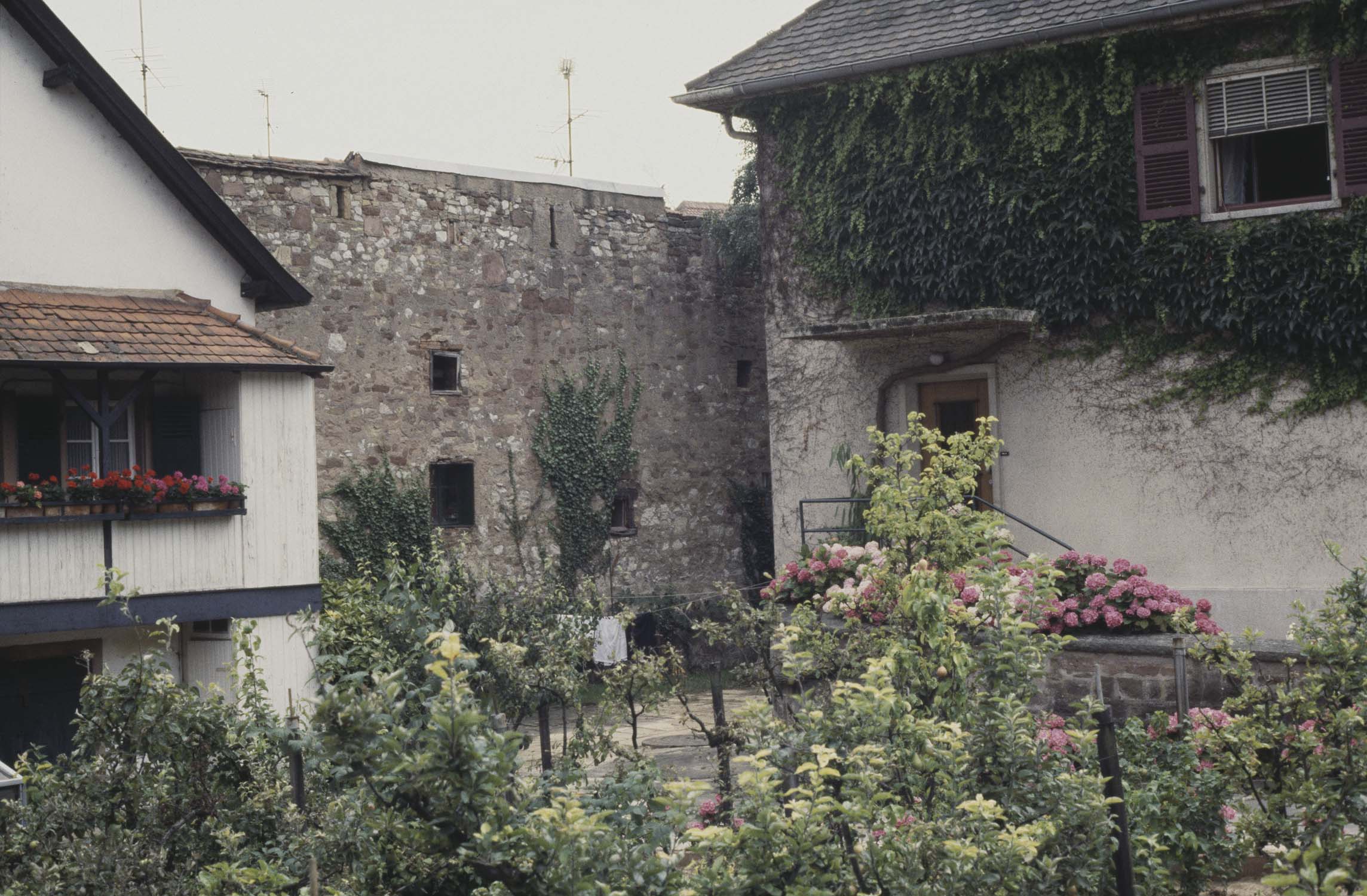 Vestige de tour du rempart sud, vue d'ensemble