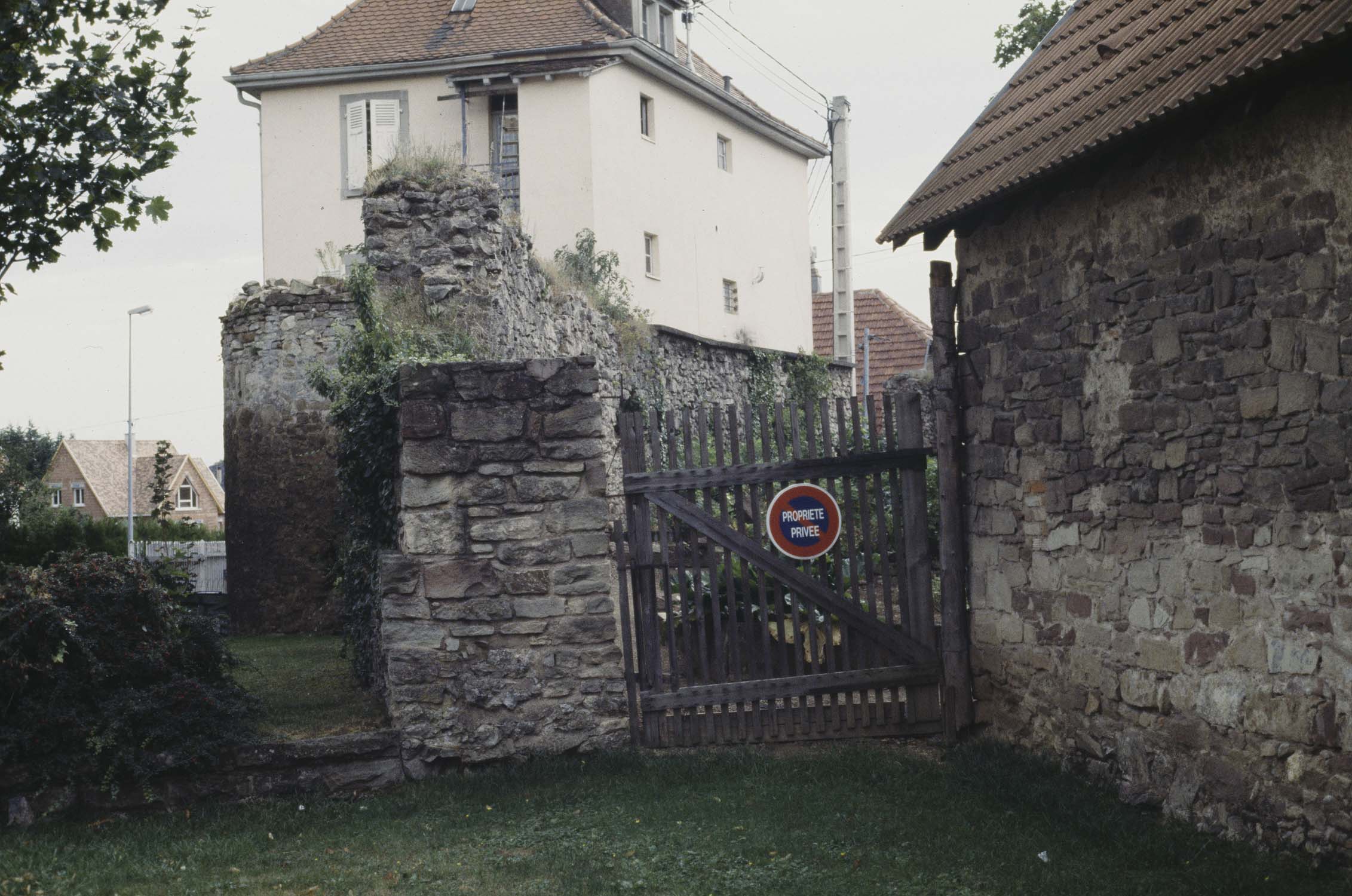 Vestige du rempart nord, vue d'ensemble