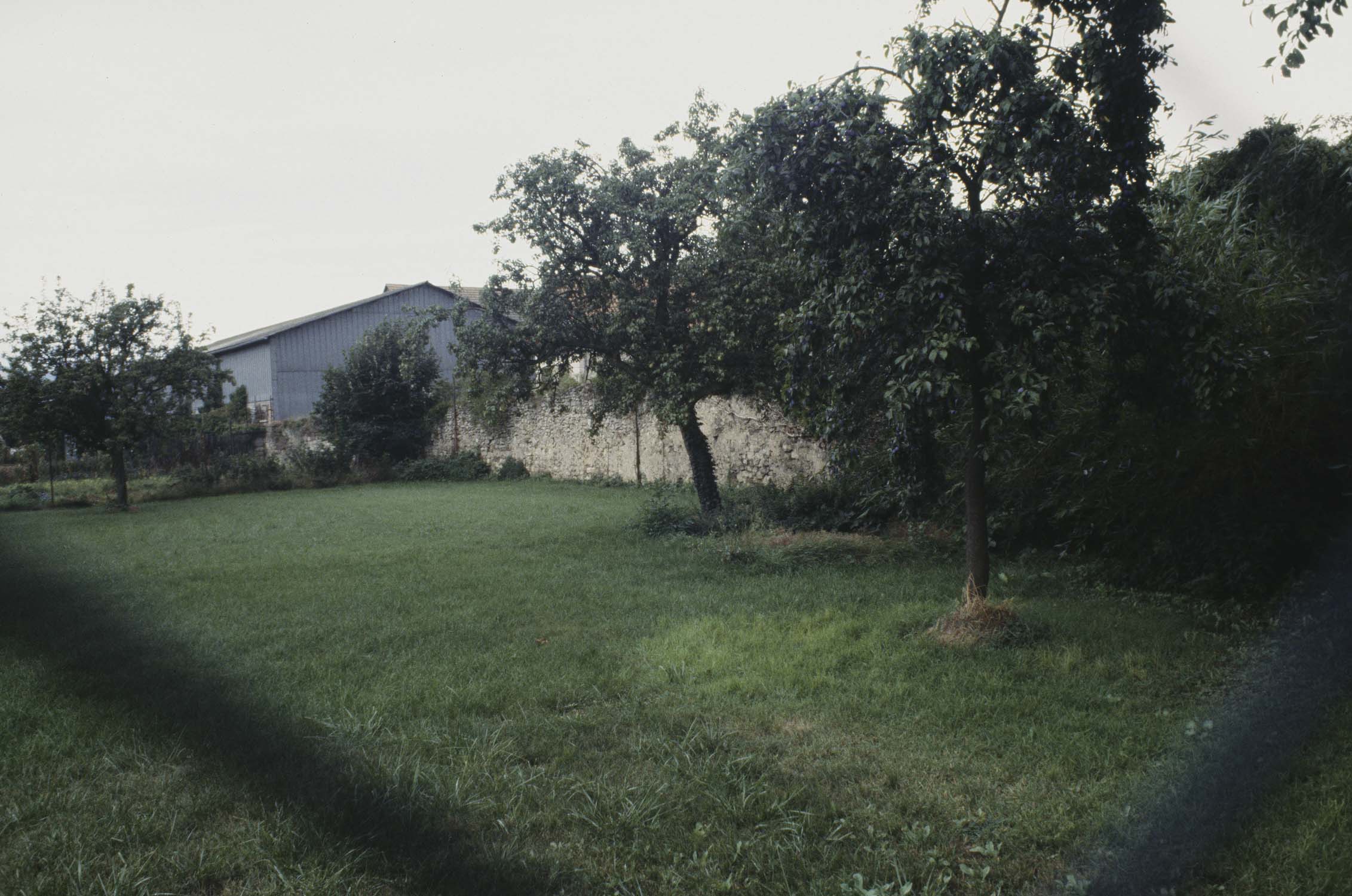 Vestiges du rempart sud, vue à distance