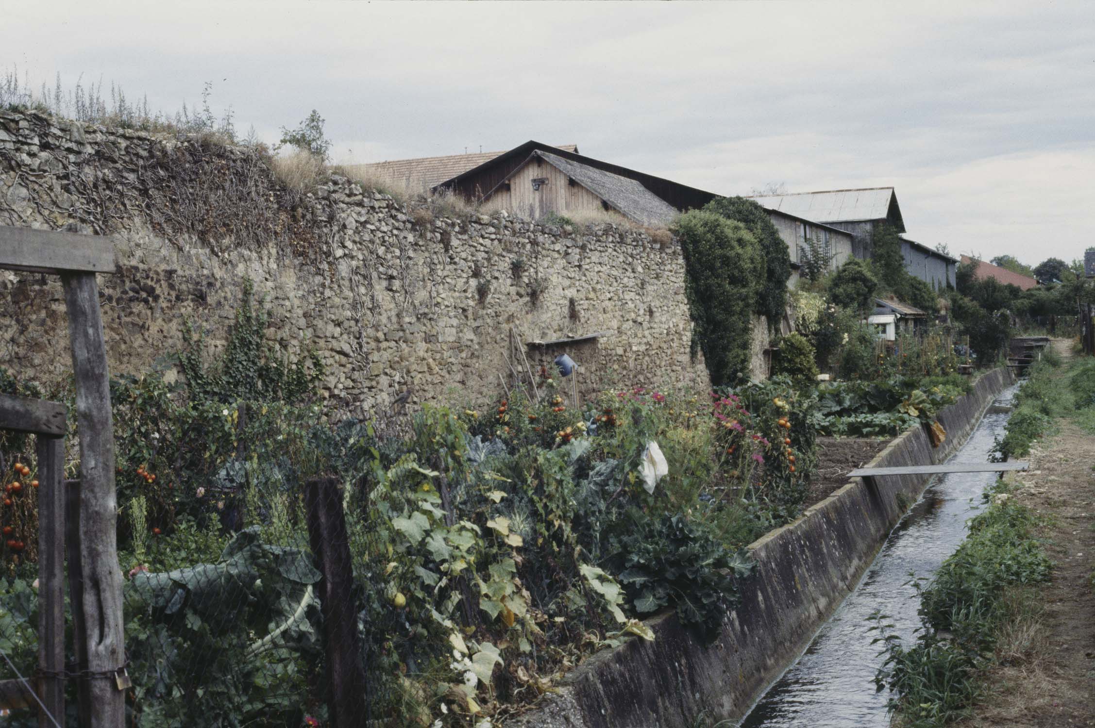 Vestiges du rempart sud, vue générale