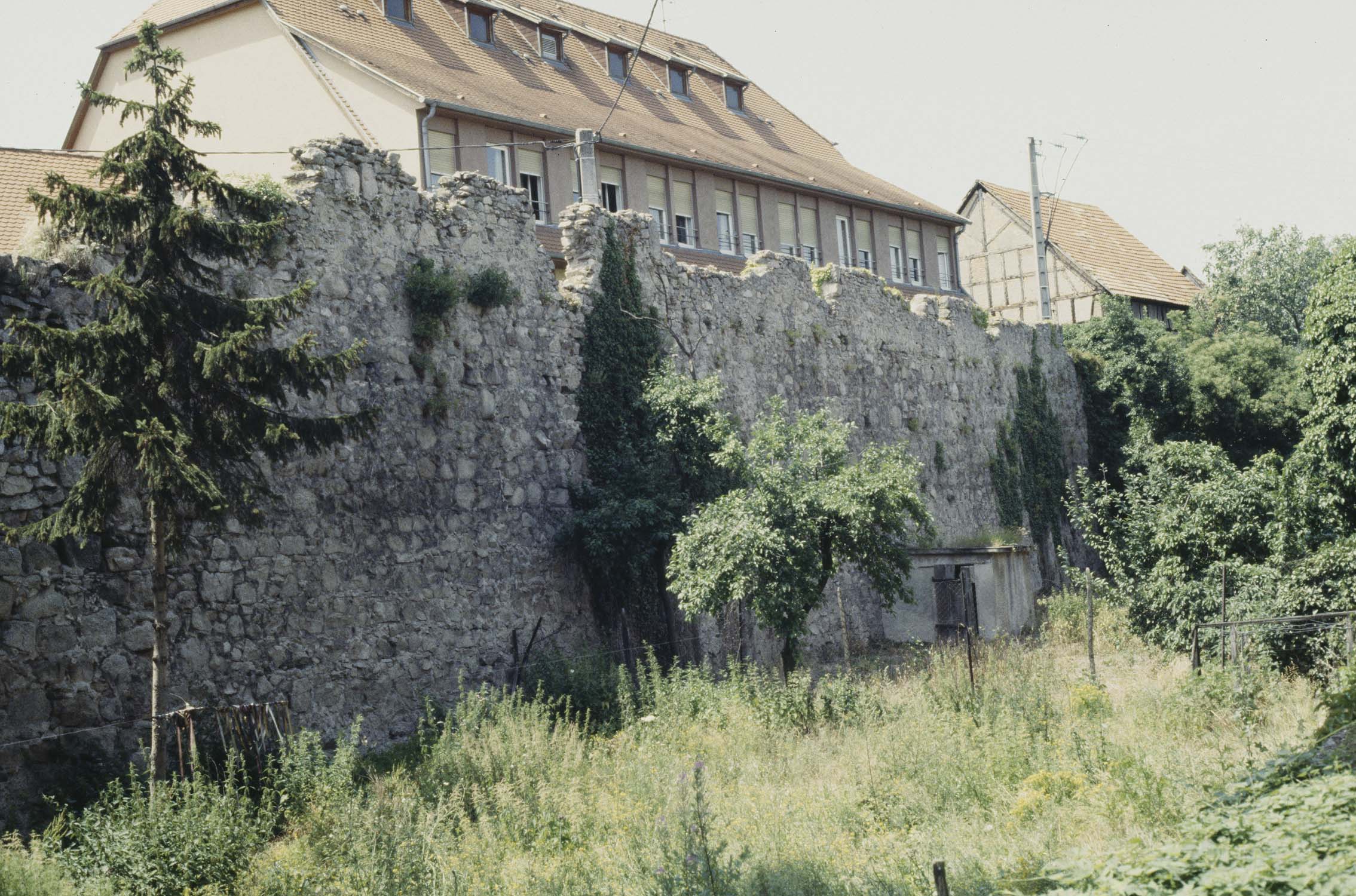 Rempart nord, vue générale