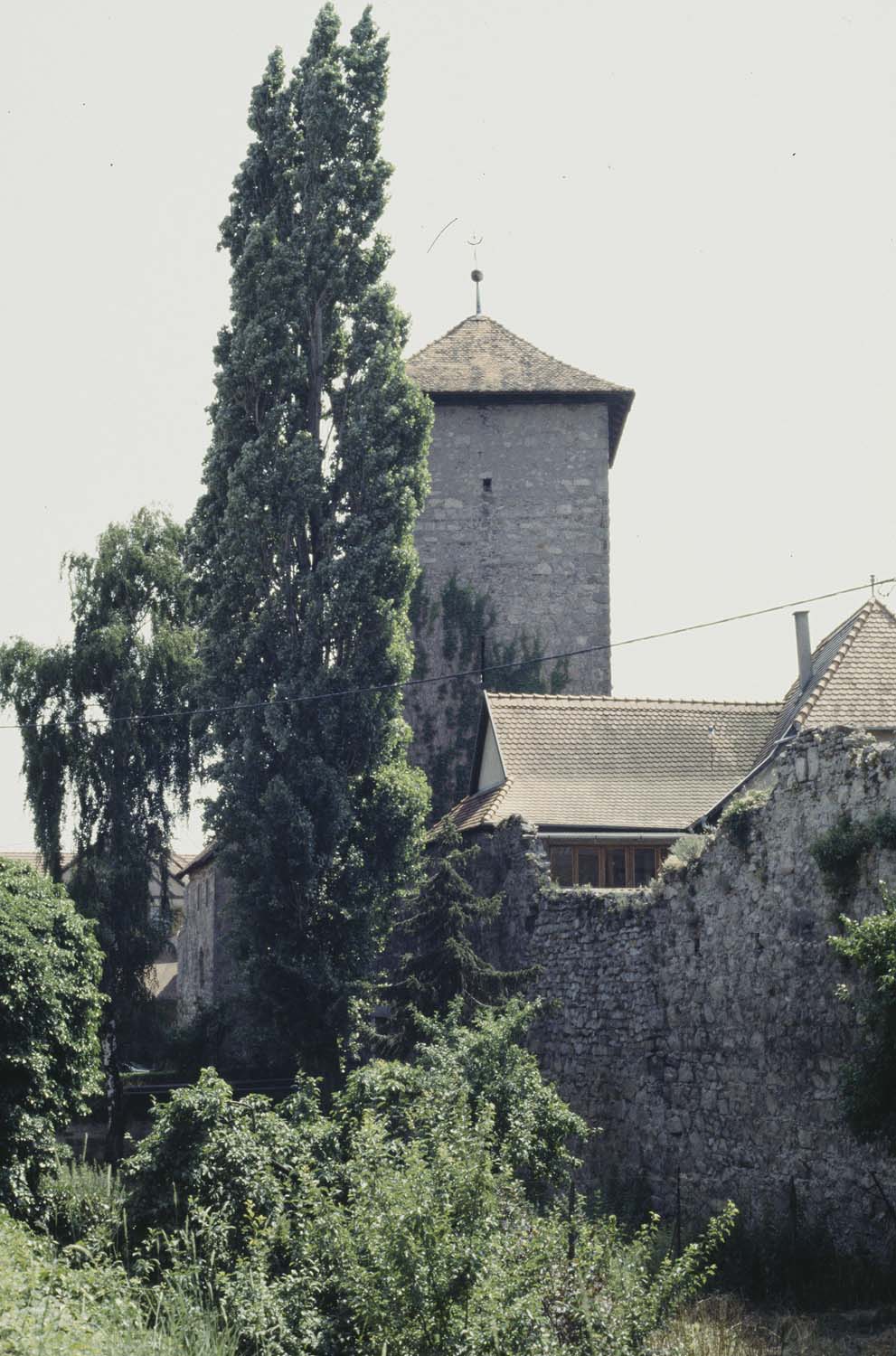 Rempart nord et porte est, vue d'ensemble