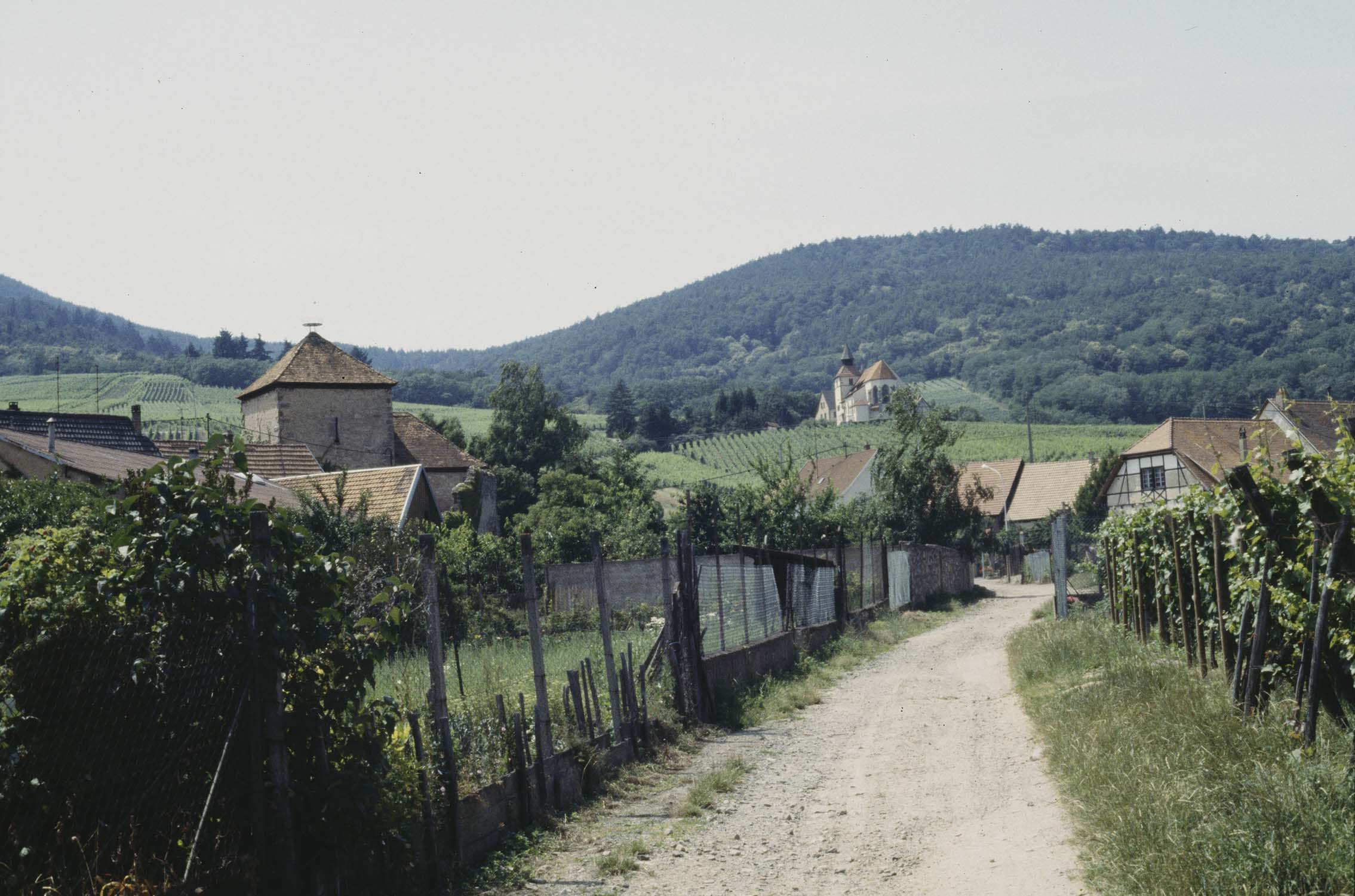 Rempart nord, vue d'ensemble à distance