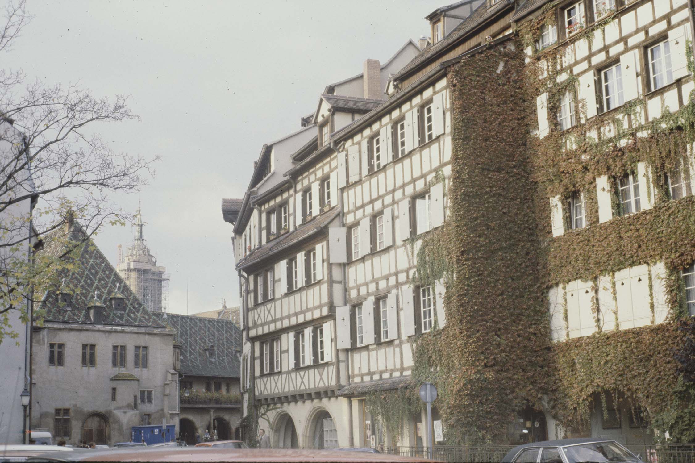 Rue