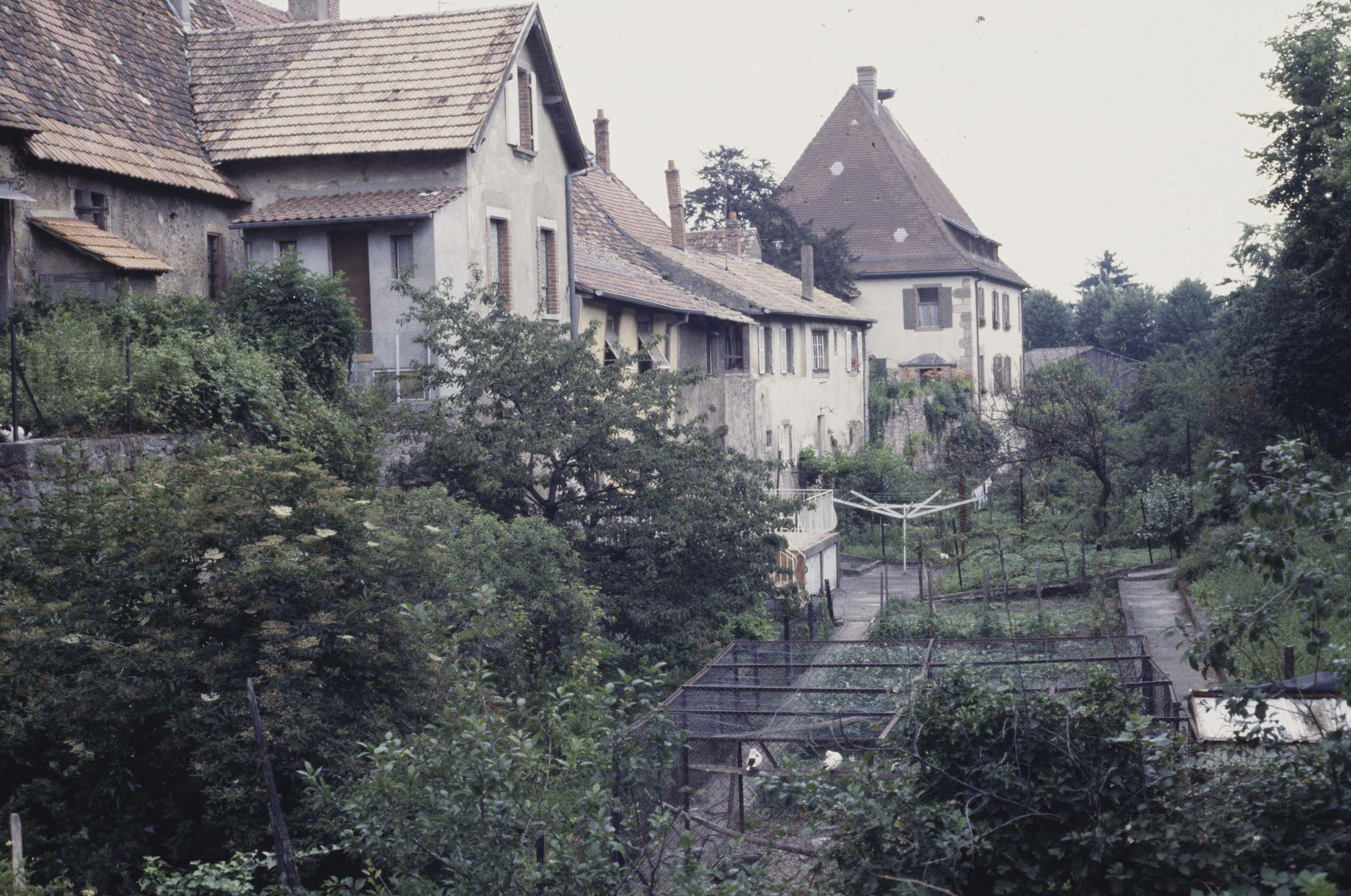 Fossé est