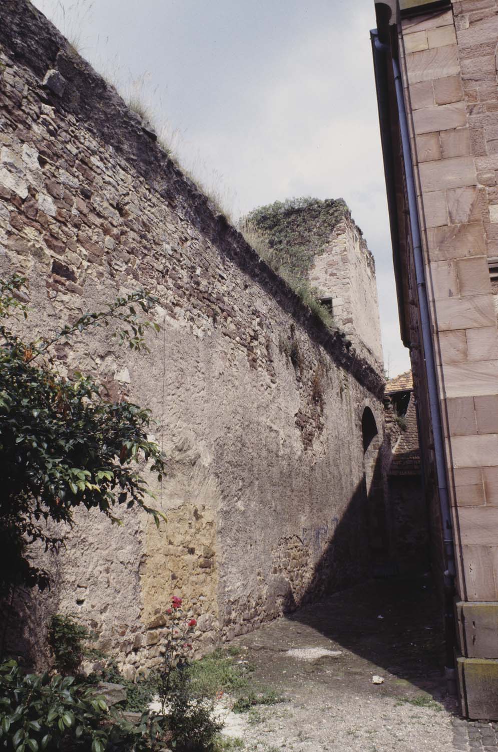 Rempart et tour arrière de la synagogue