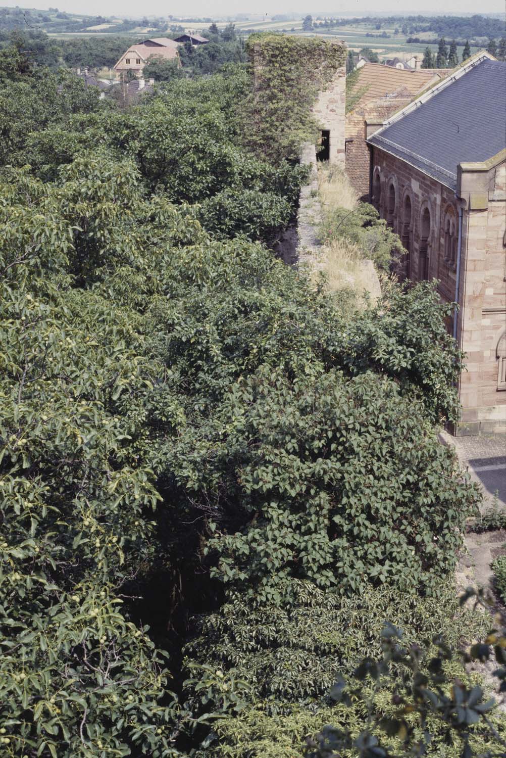 Rempart nord ; Synagogue, vue en plongée