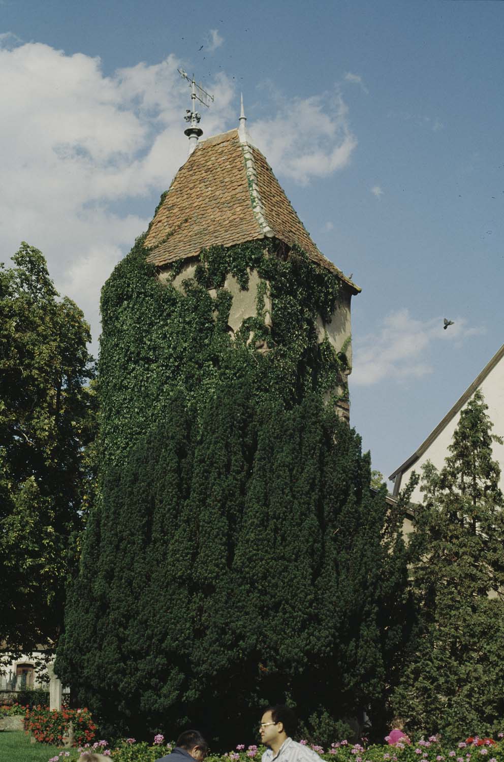 Tour près de l'église