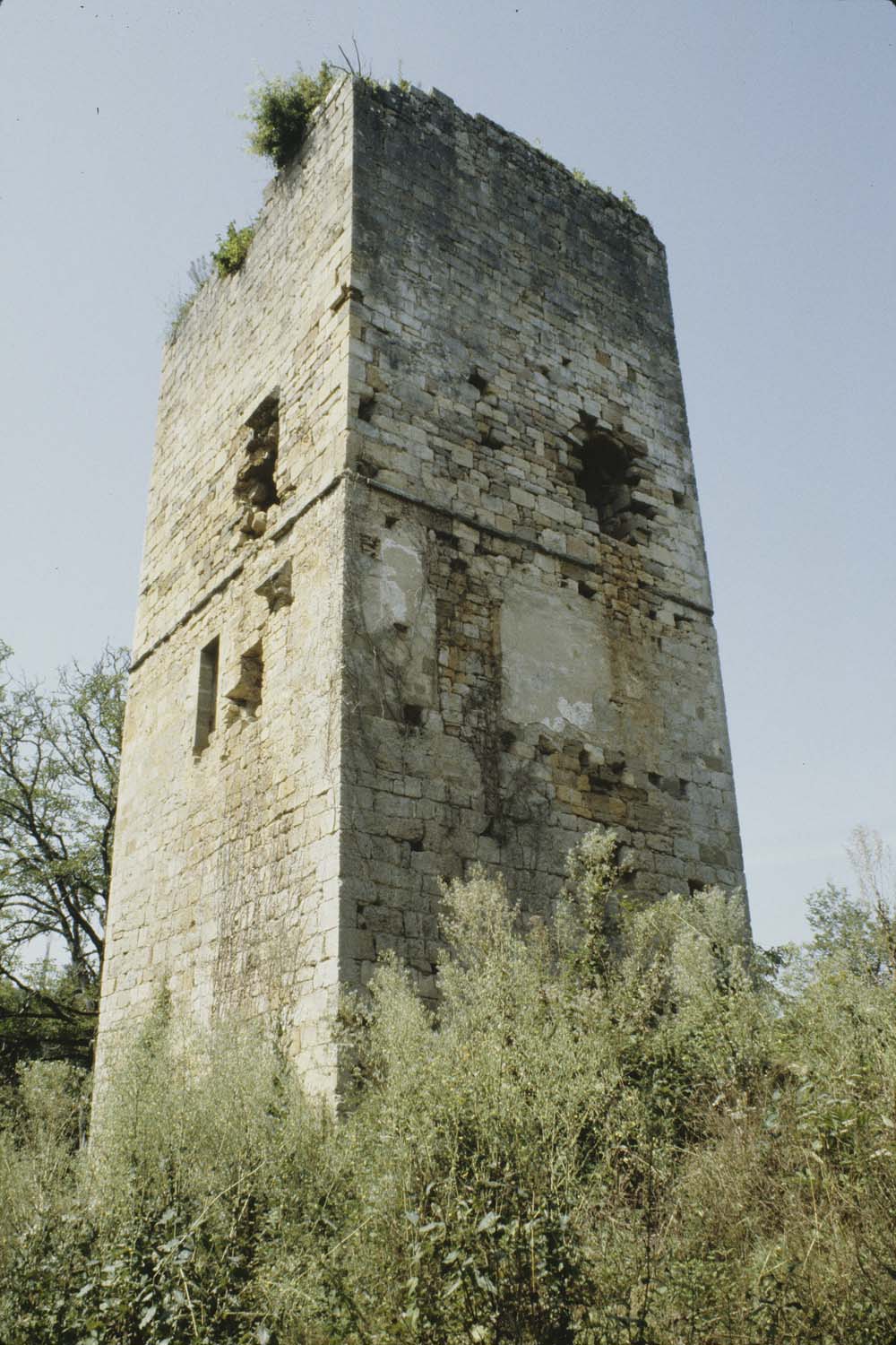 Donjon