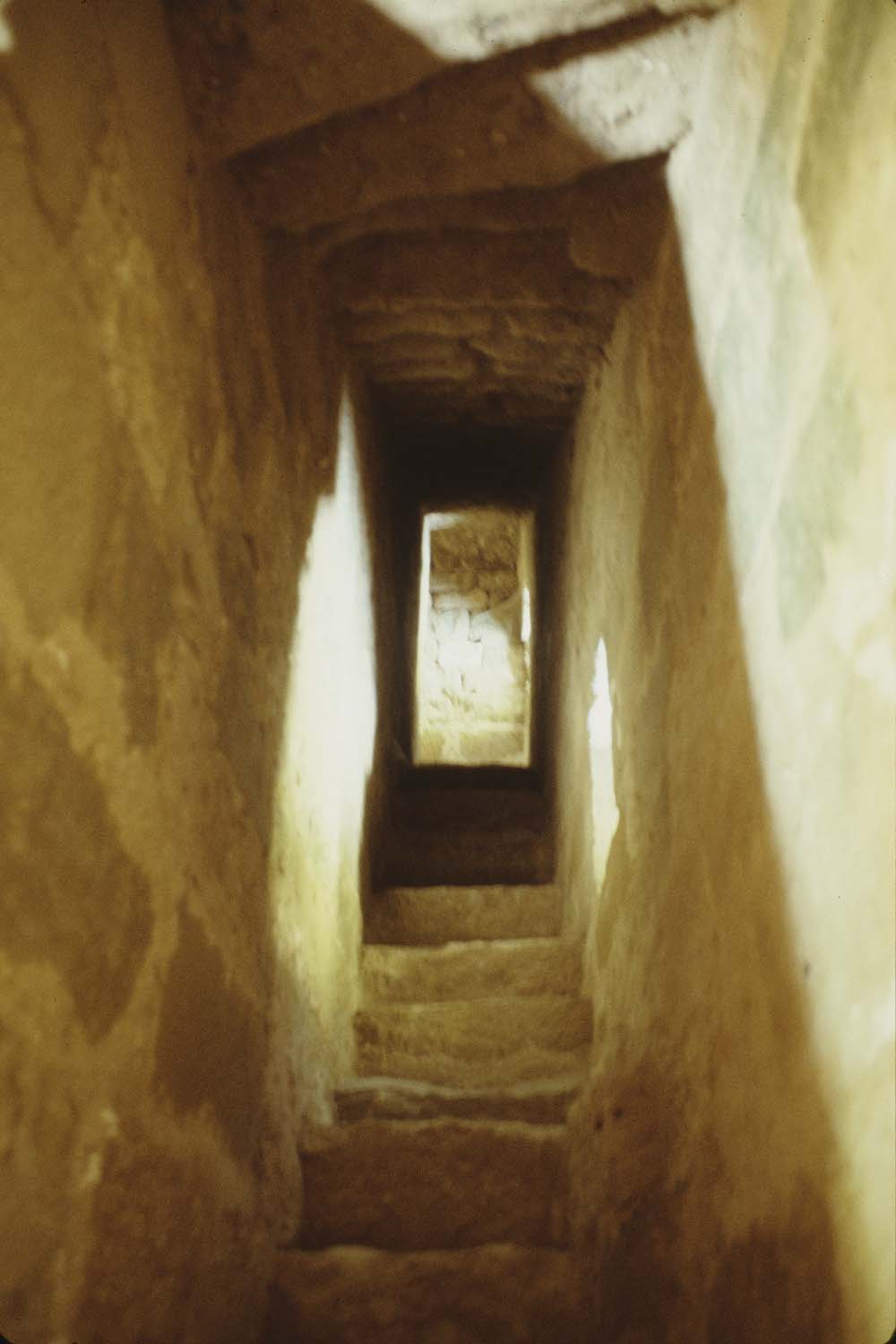 Donjon : intérieur (escalier)