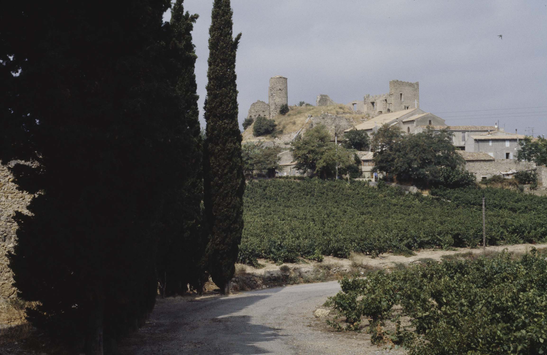 Château, vue à distance