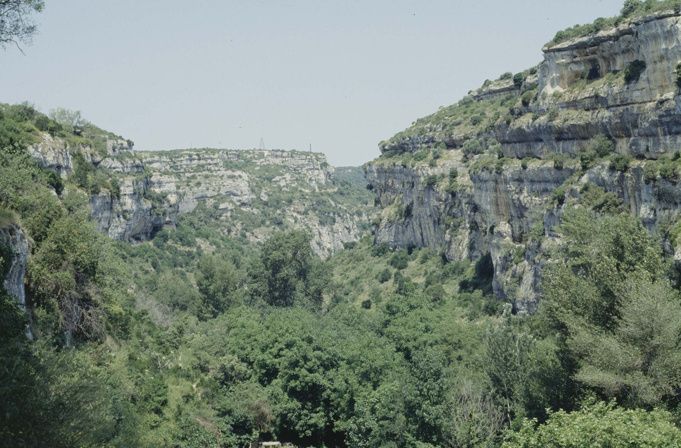Vallée de la Cesse