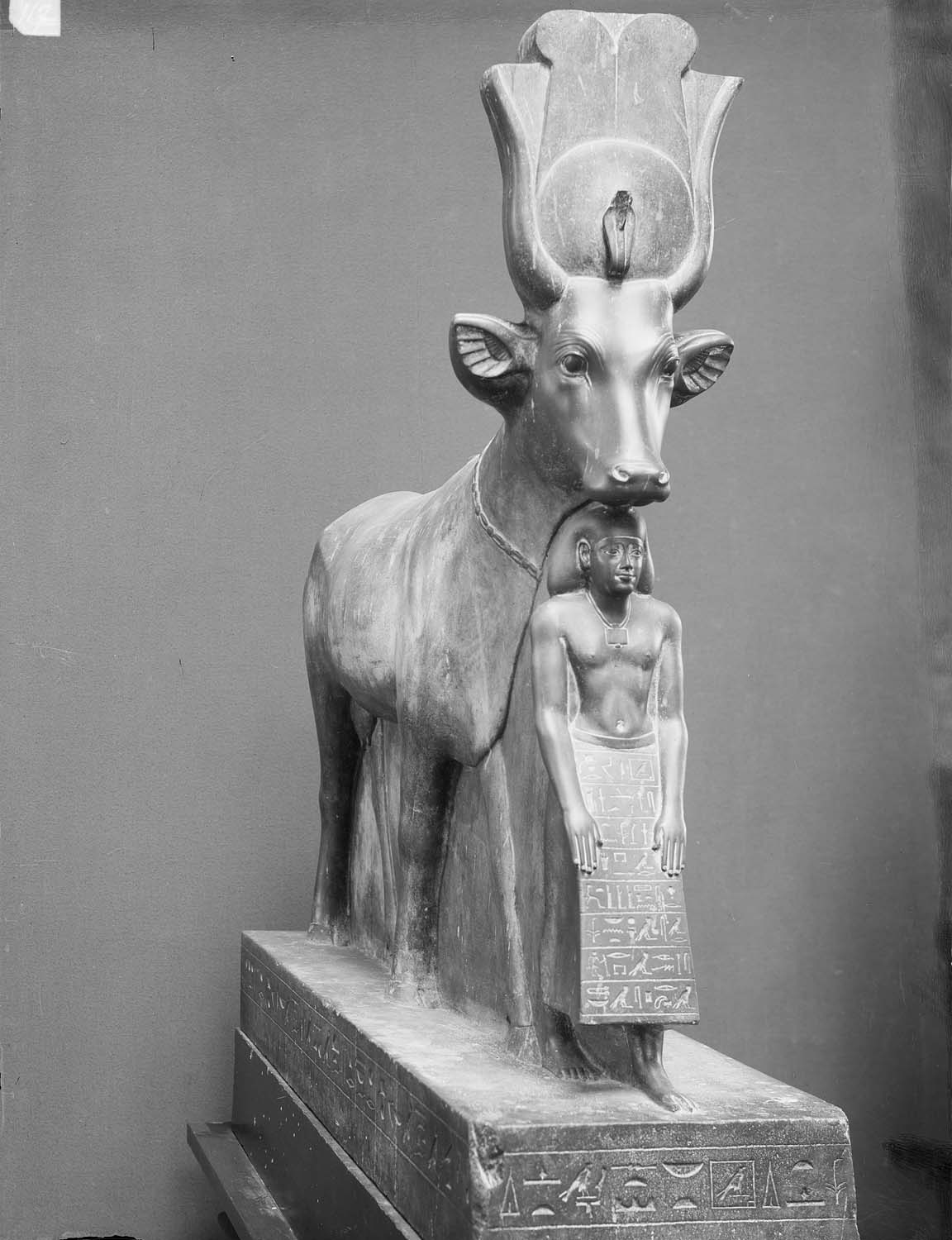 La vache Hathor protégeant le chef scribe Psammétique, schiste, provenant de Saqqarah, 26e dynastie
