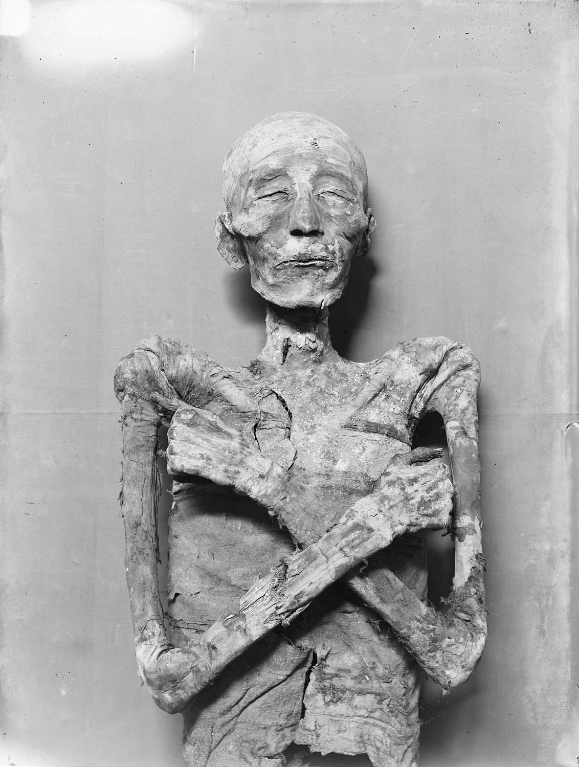 Momie du roi Mérenptah, fils de Ramsès II, trouvée en 1898 par Loret dans la tombe d’Aménophis II : partie supérieure vue de face