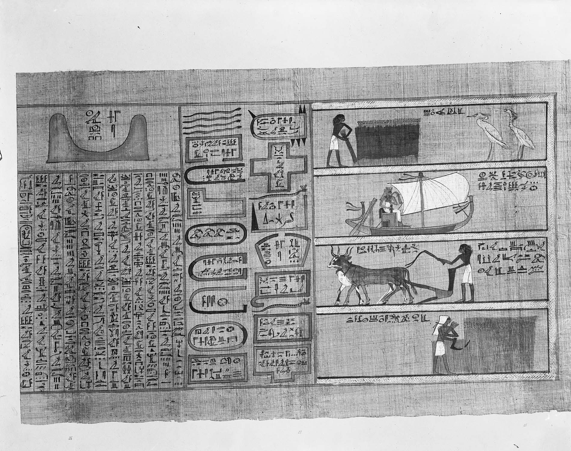 Papyrus illustré de Maâtkaré, divine adoratrice et épouse divine d'Amon, 21e dynastie : scènes agricoles