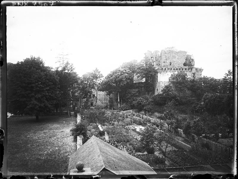 Ruines dans la végétation