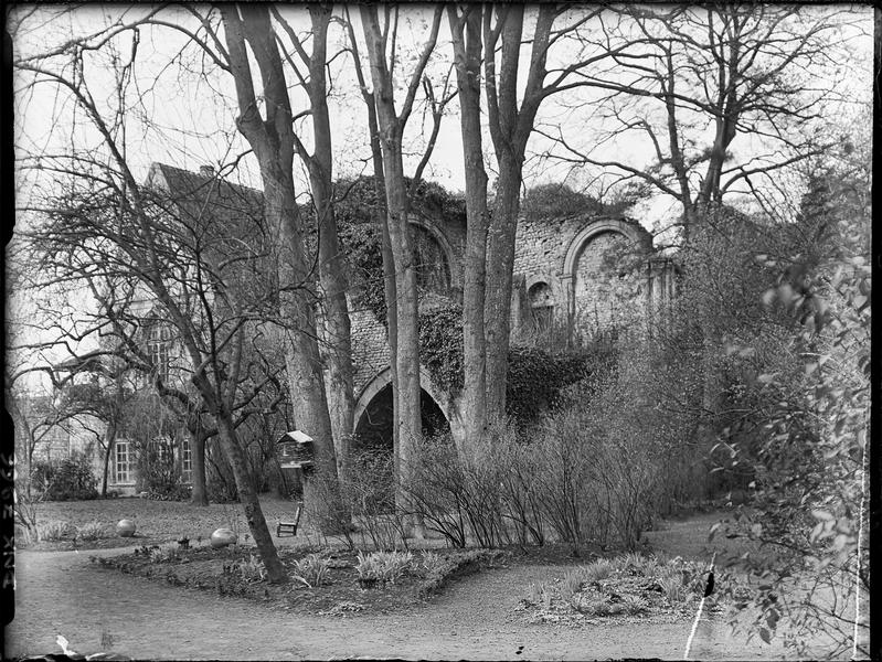 Ruines vues à travers les arbres