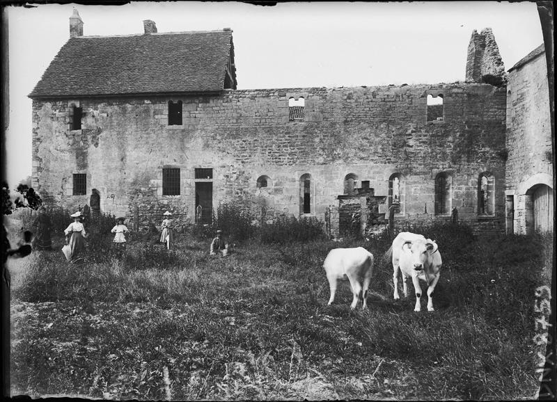 Bâtiments en ruines, vaches au premier plan