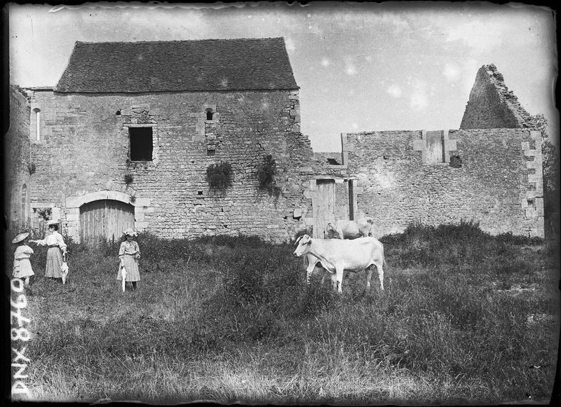 Bâtiments en ruines, vaches et promeneuses au premier plan