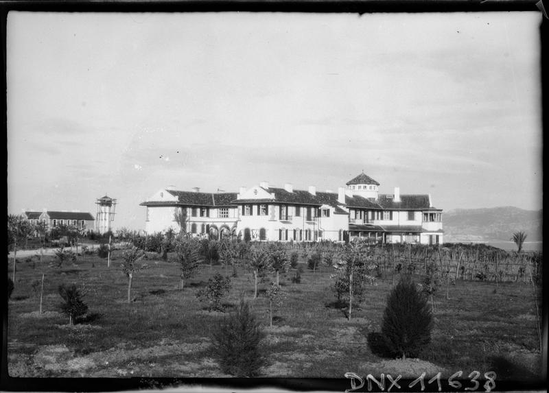 Vue d'ensemble, jeunes arbres au premier plan