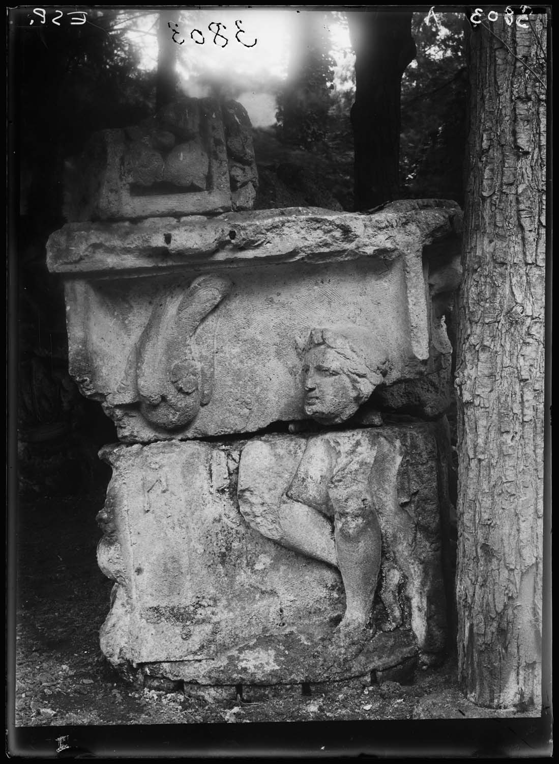 Blocs sculptés provenant d’un pilastre d’angle