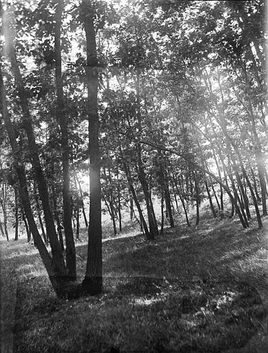 Bords du Marouy près d'Albi