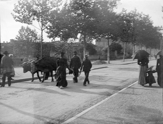 Boulevard de Strasbourg à Albi