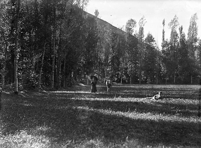 Prairie de Ponget près Saint-Antonin