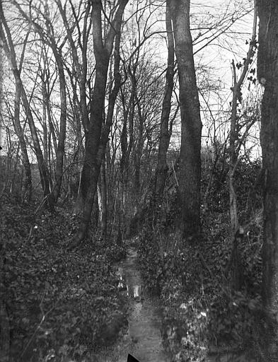 Le Merville à travers le Parc de Rochegude