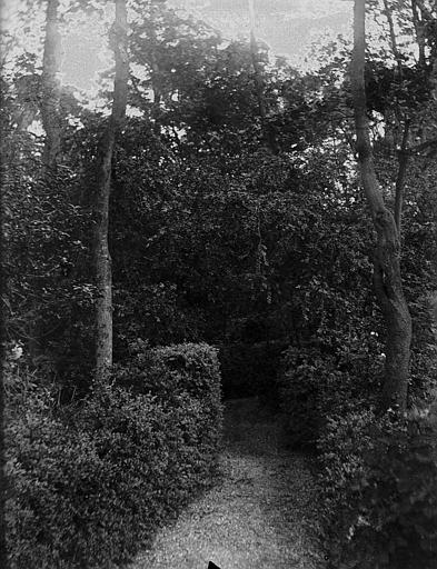 Allée de buis au Parc de Rochegude