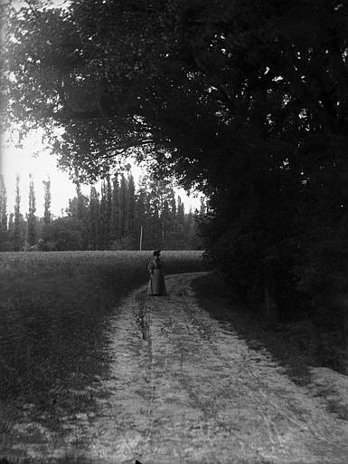 Chemin de Fontvialane près Albi